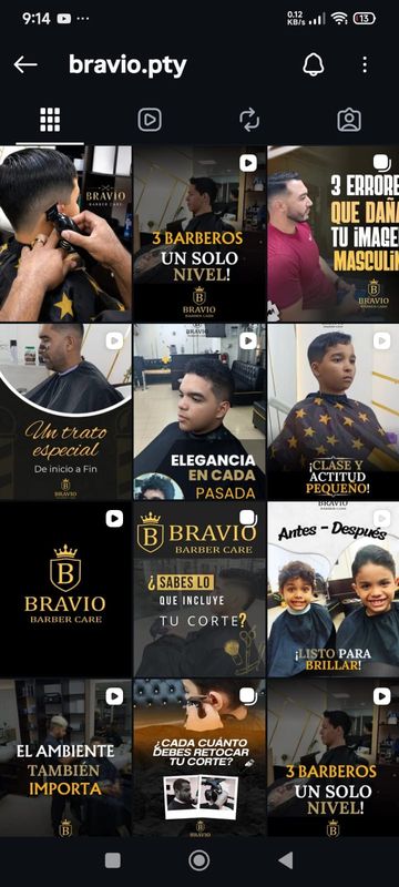 Línea Gráfica para Redes Bravío